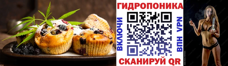 дарнет шоп  Власиха  Canna-Cookies марихуана 