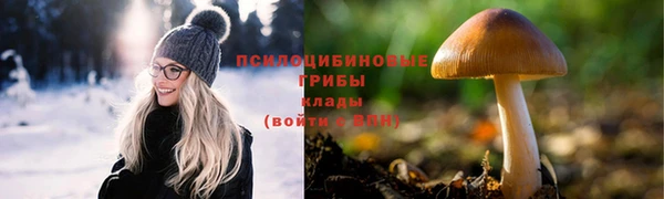 бошки Абинск