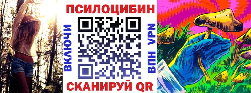 купить наркотик  Власиха  Псилоцибиновые грибы прущие грибы 